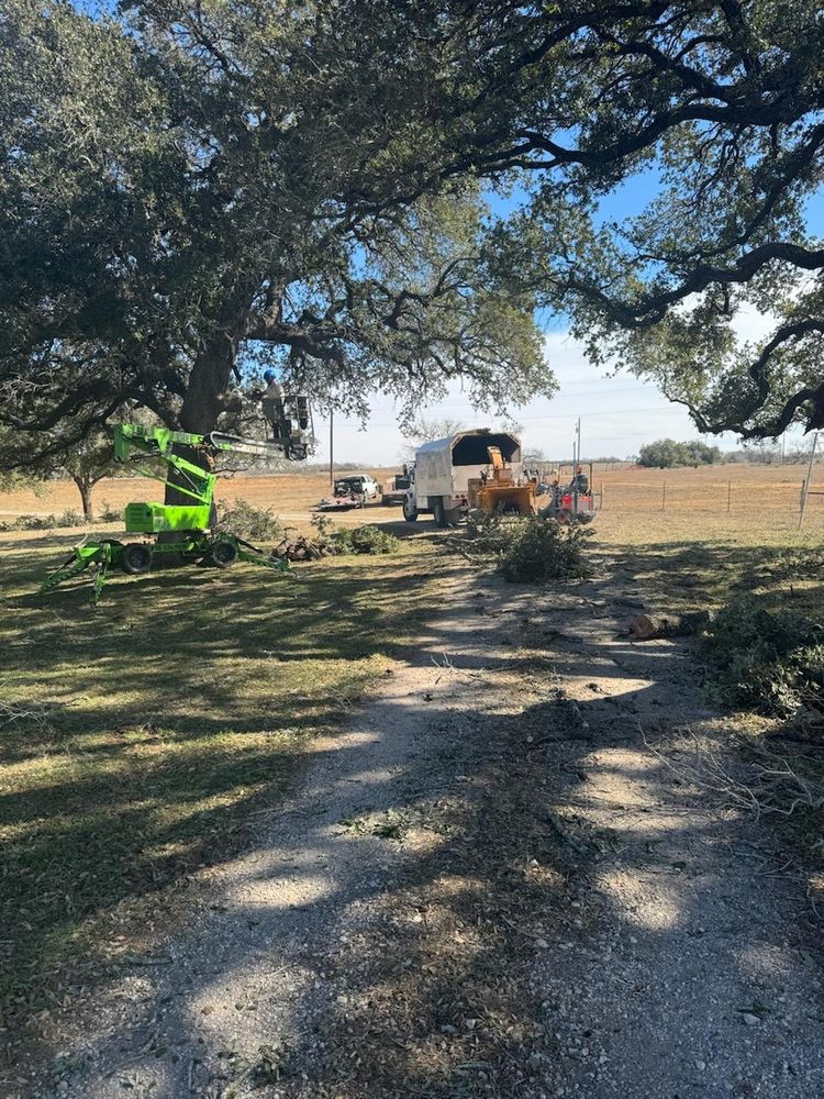 All Photos for Braun Tree Service in Floresville, Texas