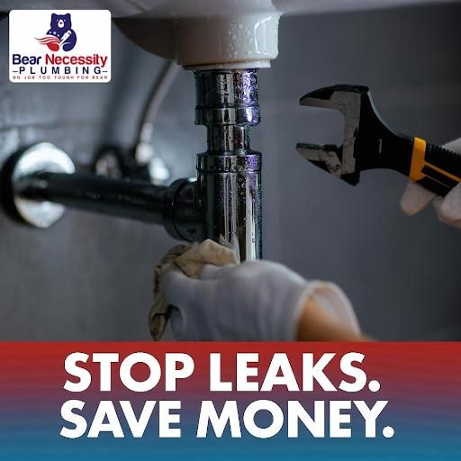 All Photos for Bear Necessity Plumbing in Longs, SC