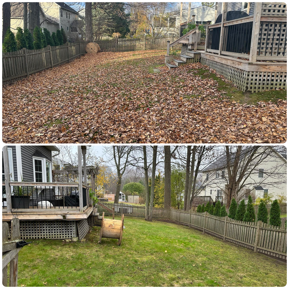 Our Fall and Spring Clean Up service removes leaves, debris, and winter buildup to refresh your lawn, improve curb appeal, and prepare your landscape for healthy growth in every season. for Mow N Maintain Property Maintenance in Williston, VT