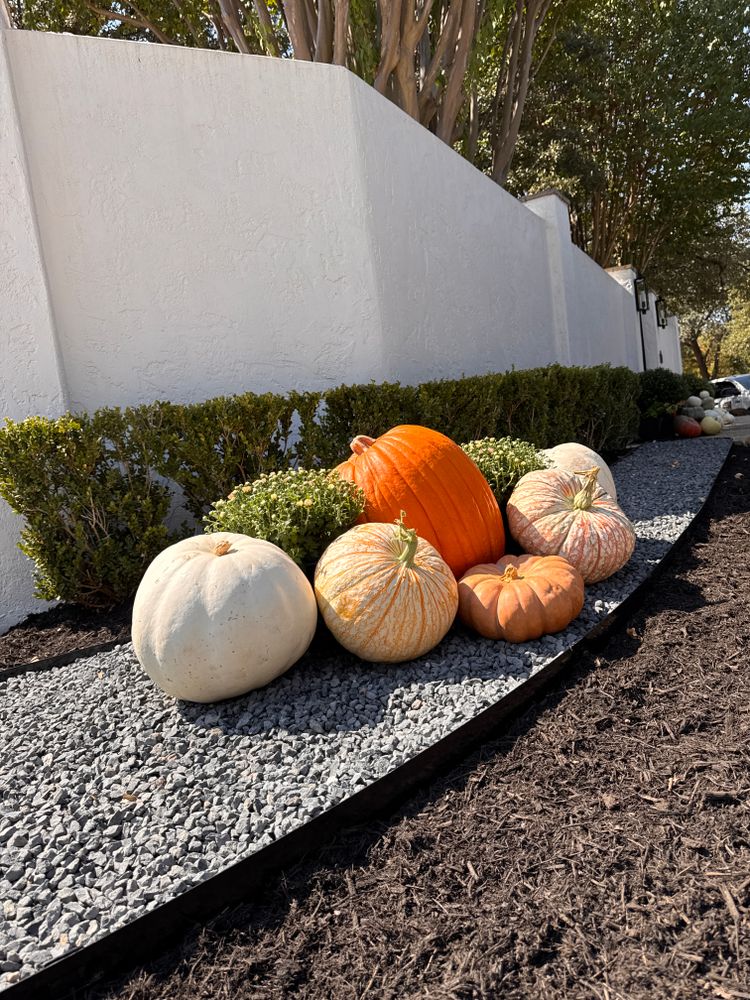 Fall Decorations  for Espinoza Landscape & Construction  in San Antonio, TX