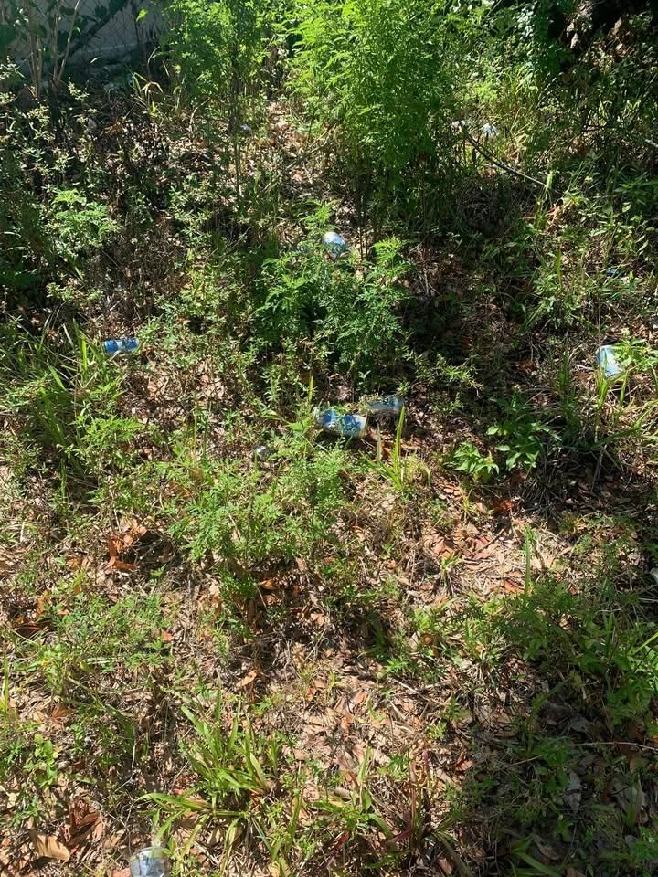 All Photos for Space Coast Property Maintenance and Management LLC in Brevard County, FL