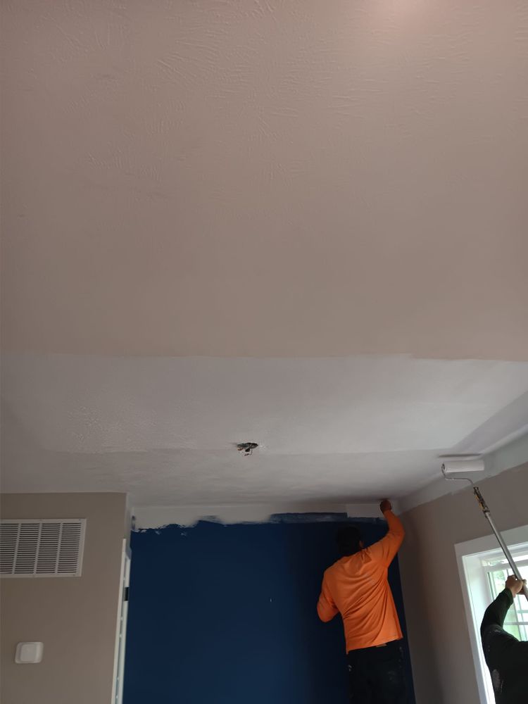 Subfloor repair and Beam Shoring for Dead Tree General Contracting in Carbondale, Illinois