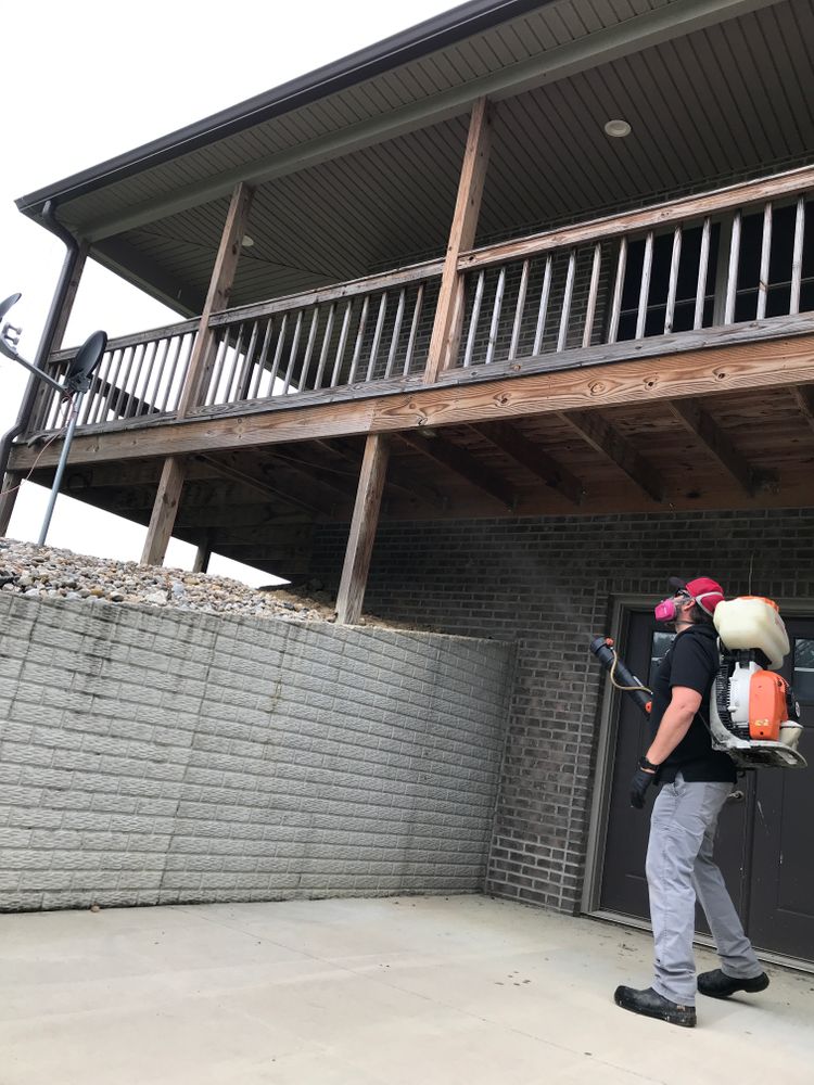 Mosquito  for All-In Pest Control & Home Solutions in Greene County, IN