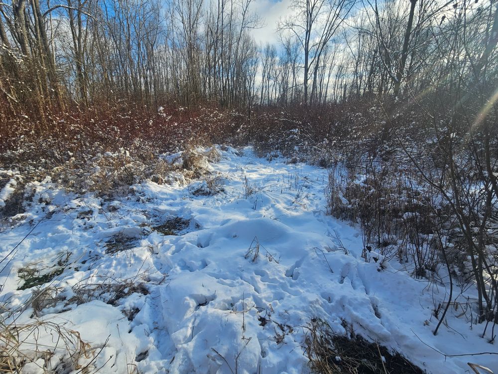 All Photos for Bluff Country Whitetails in Grand Ledge, MI