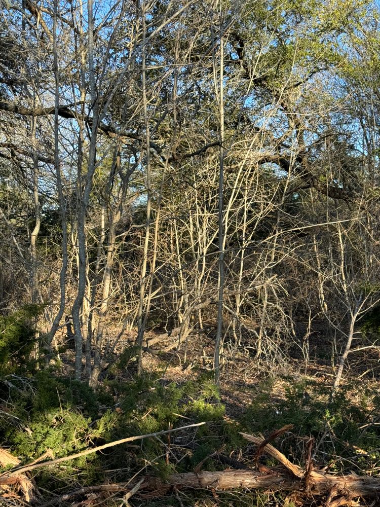 All Photos for Marek Land Services in Taylor, TX