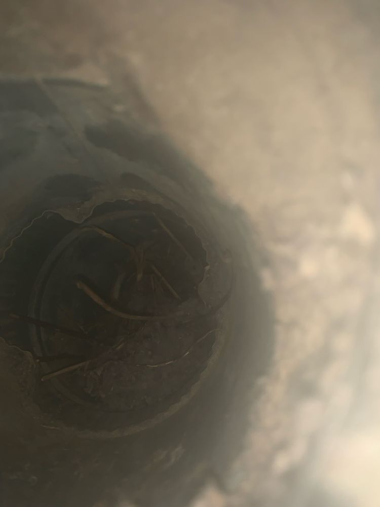 All Photos for Soapy Suds Services in St. Charles, IL