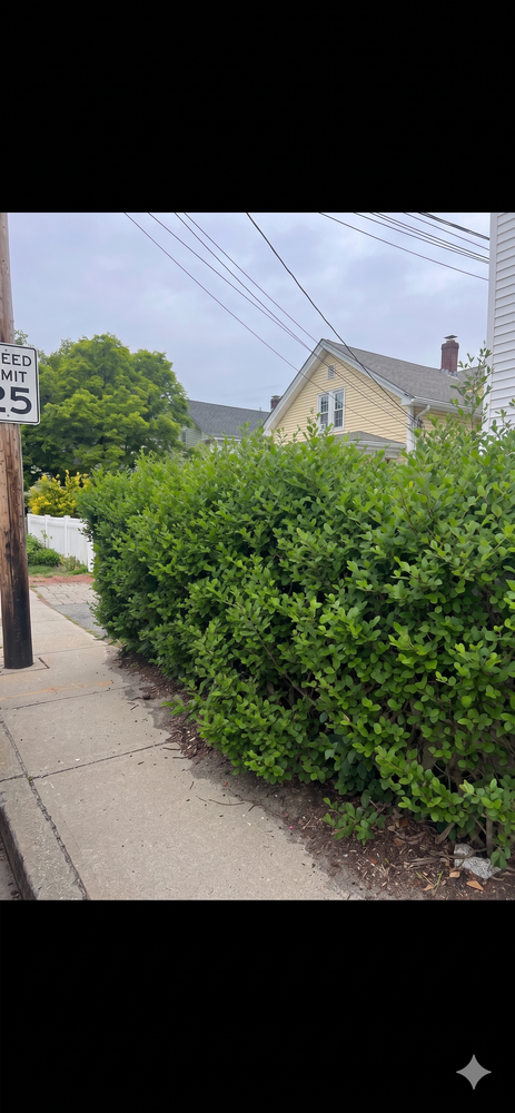 All Photos for Kingston Lawn Care in Warren, RI
