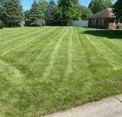 All Photos for Bearforce Lawn Care LLC in Greenfield, IN