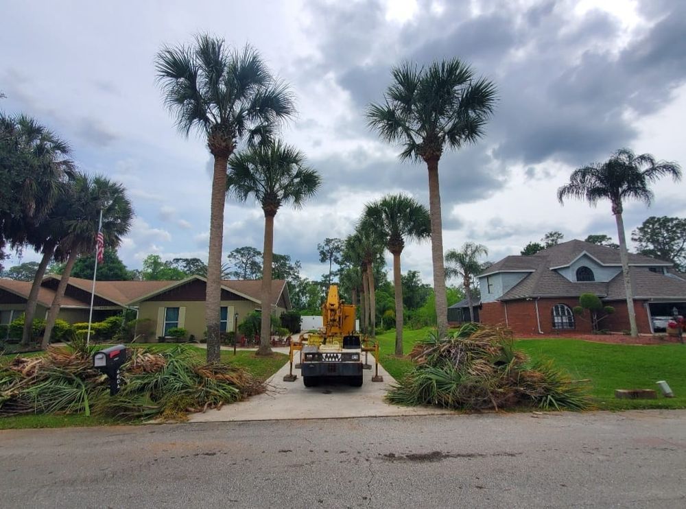 Regal Tree Service and Stump Grinding team in Wauchula, FL - people or person