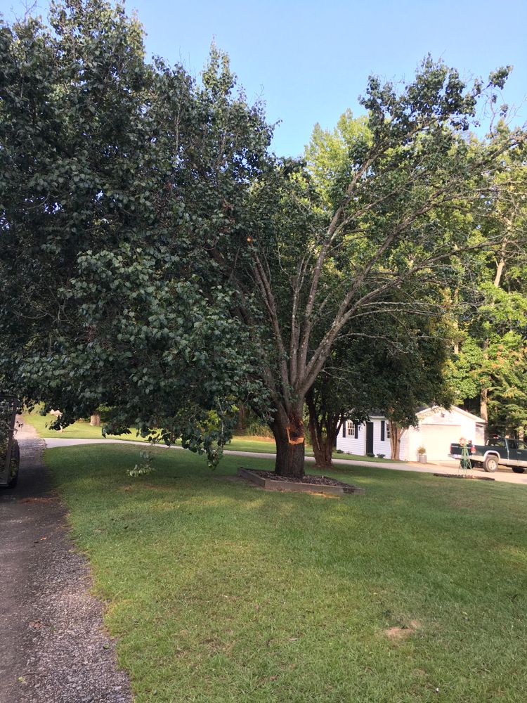 All Photos for Tucker's Tree Service and Stump Grinding in Lugoff, SC
