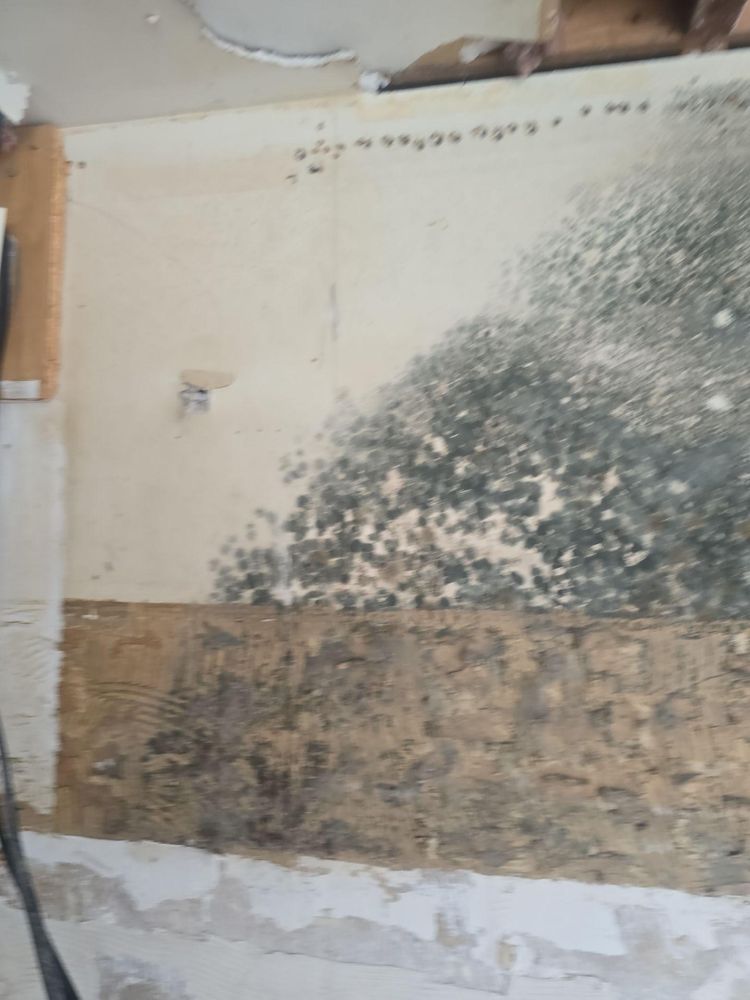 All Photos for Zorcon Contracting LLC in Tampa, FL