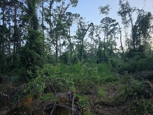 All Photos for Giles Land Management, LLC in Hahira, GA