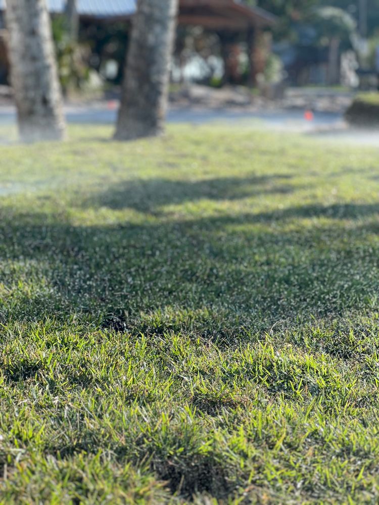 Revitalize your landscape with our expert irrigation design and installation. We also do repairs! for Roberts Lawn & Landscape in Cross City, FL