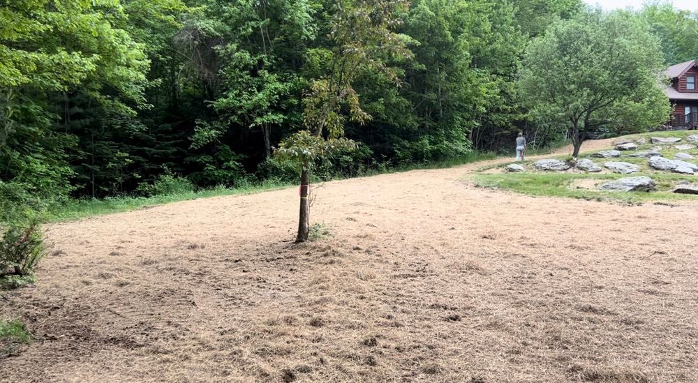 All Photos for Andy Naylor Excavation in Stowe, VT