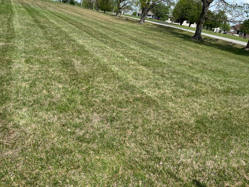 All Photos for Garcia Lawn Service & Landscaping in Lafayette, TN