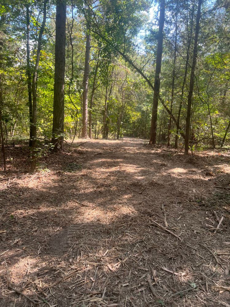 All Photos for 903 Mulching in East Mountain, TX