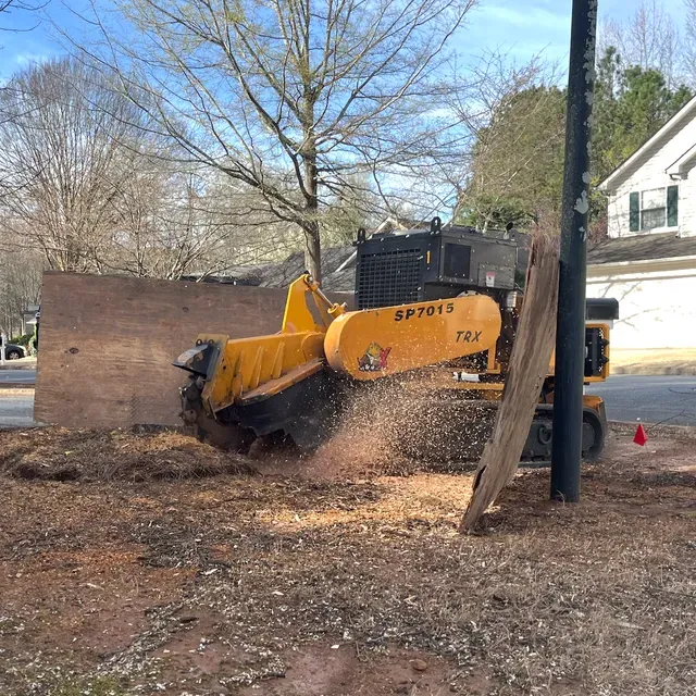 Our professional stump grinding service efficiently removes unwanted tree stumps, enhancing your landscape's appearance and safety while preventing pest infestations and allowing seamless integration with new garden designs. for Torres Tree Service & Landscaping in Flat Rock, NC