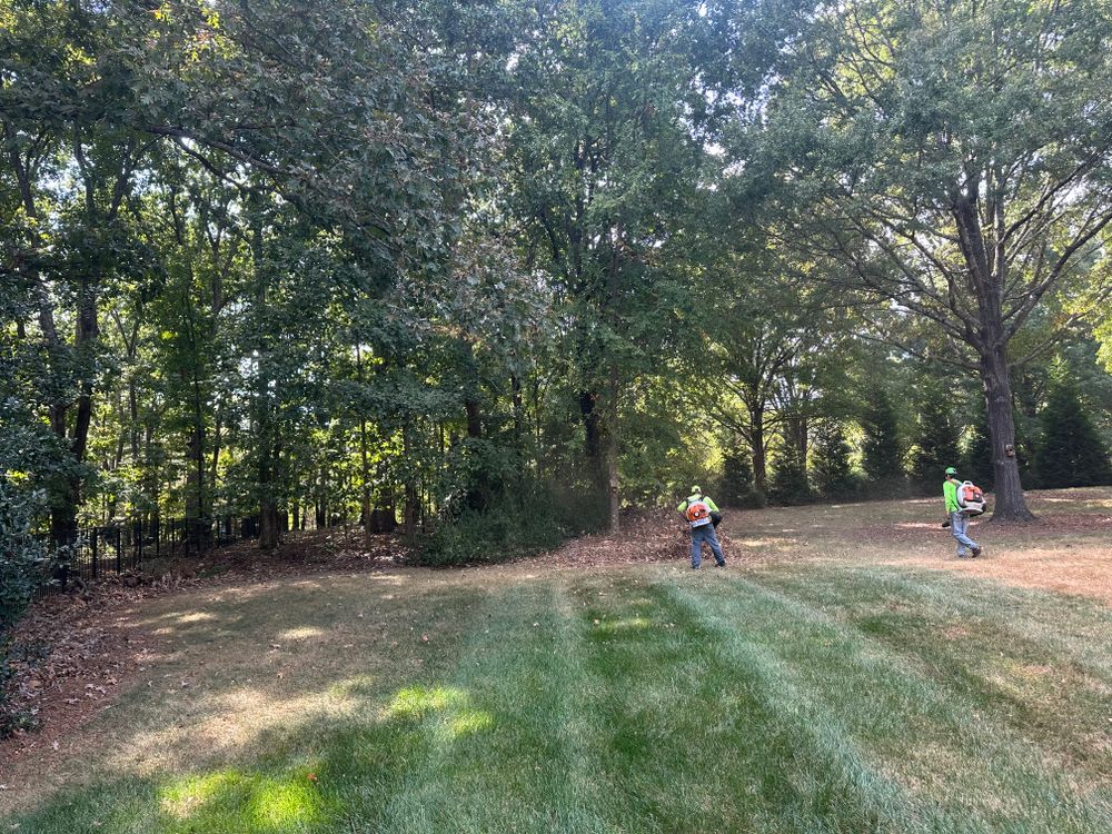 All Photos for Pecina Pine Needles in Monroe, NC