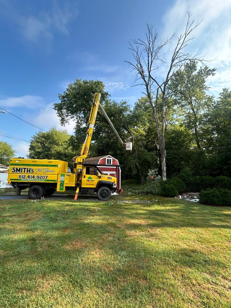 All Photos for SMITHs Tree Service in Columbus, IN