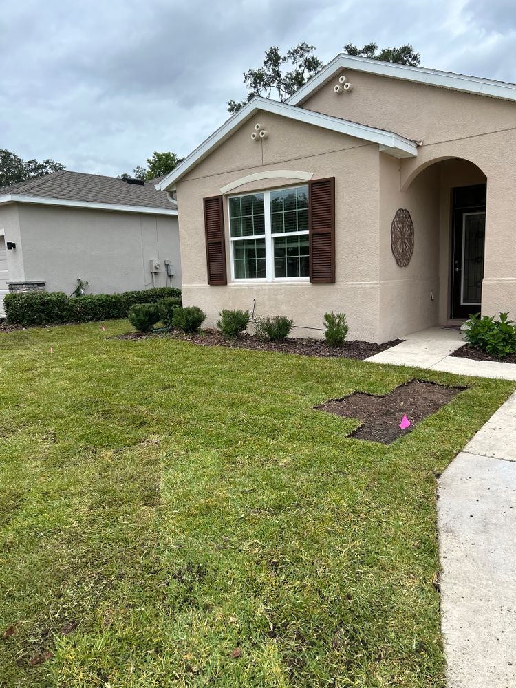 All Photos for Gulf Bay Sod in Clearwater, FL