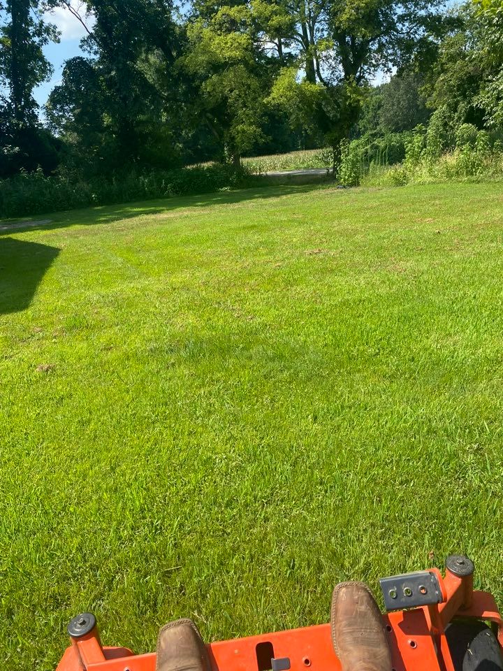 Lawn Care for Apex Lawn & Landscaping INC in Dyersburg, TN