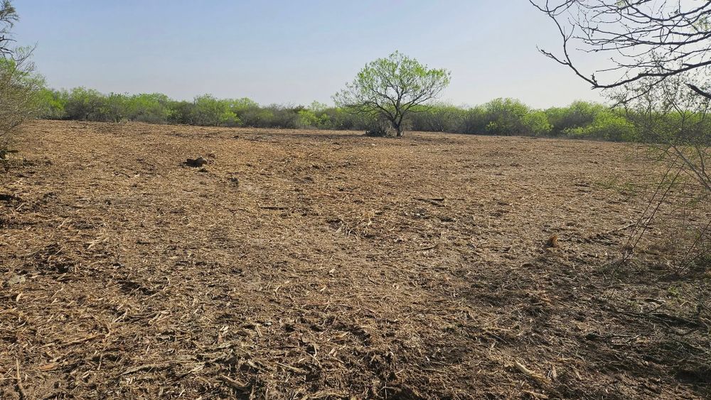Land Clearing for Hernandez Land Clearing Services in Alice, TX