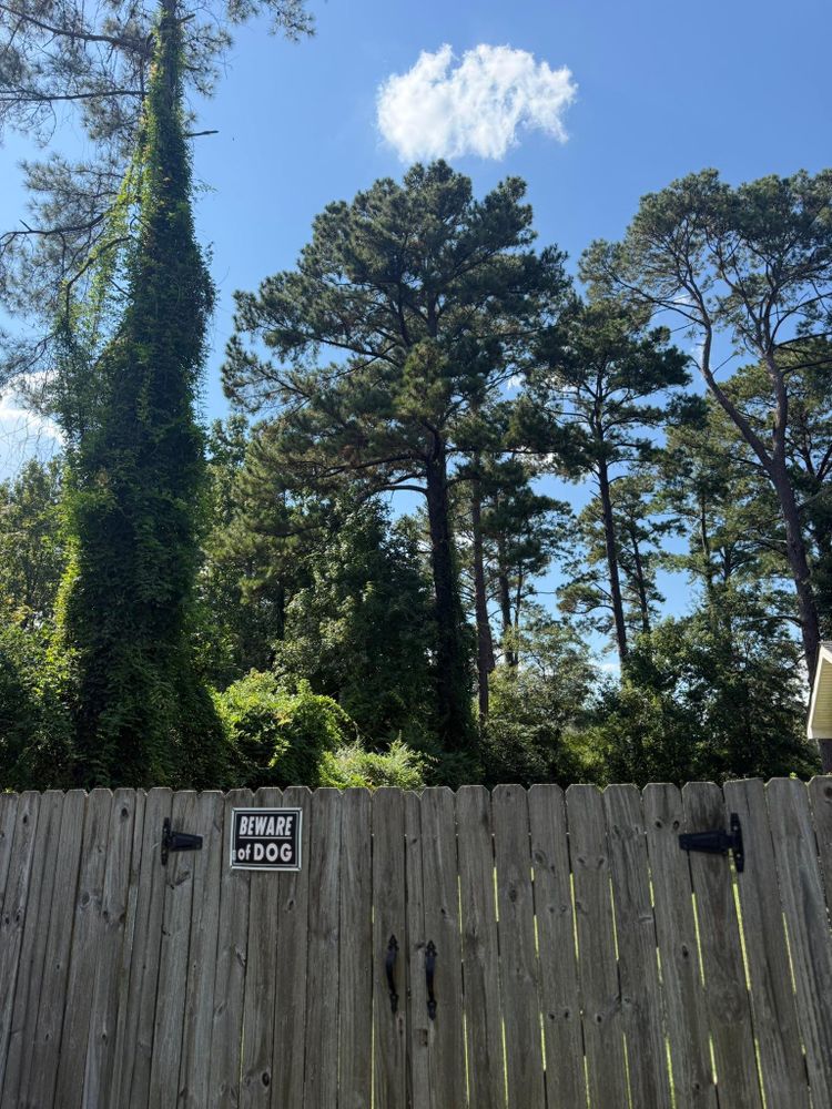 All Photos for Hawkins Tree Service & Land Management in Richmond Hill, GA