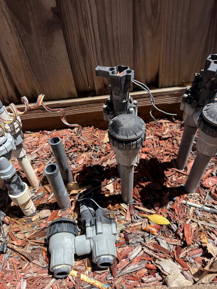 All Photos for CBA Landscaping in Hayward, CA