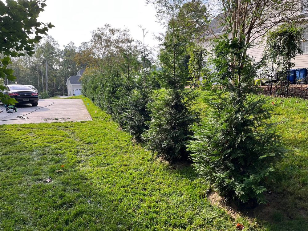 All Photos for Atlas Home Services in Mechanicsville, Virginia