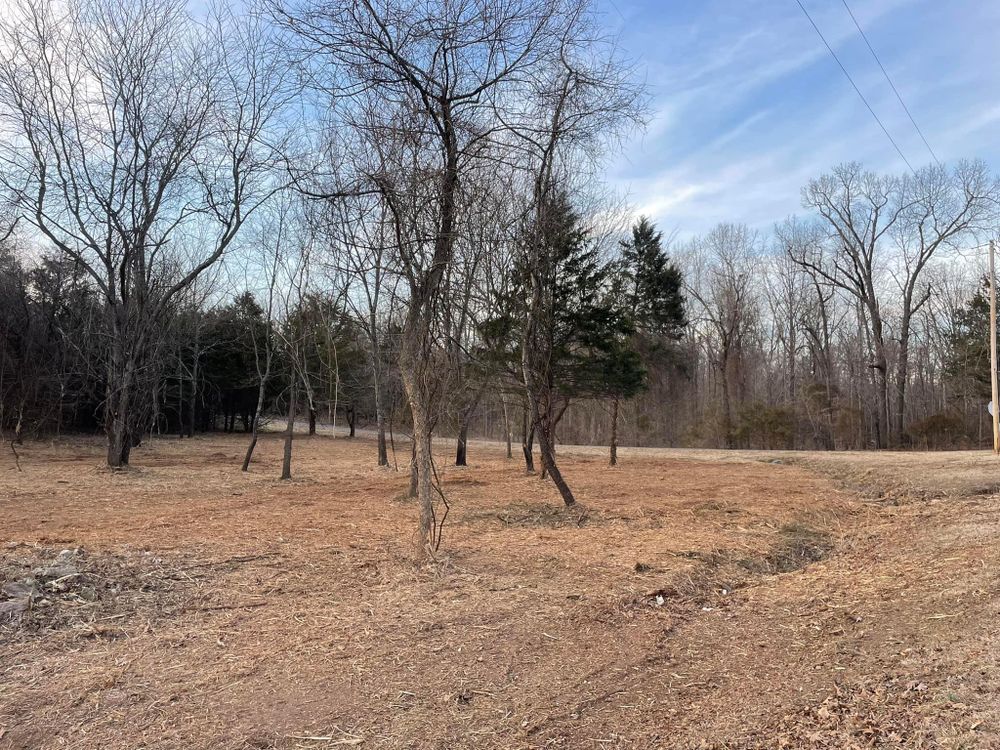 Pasture Reclamation for Bass Land Management in Yellville, AR