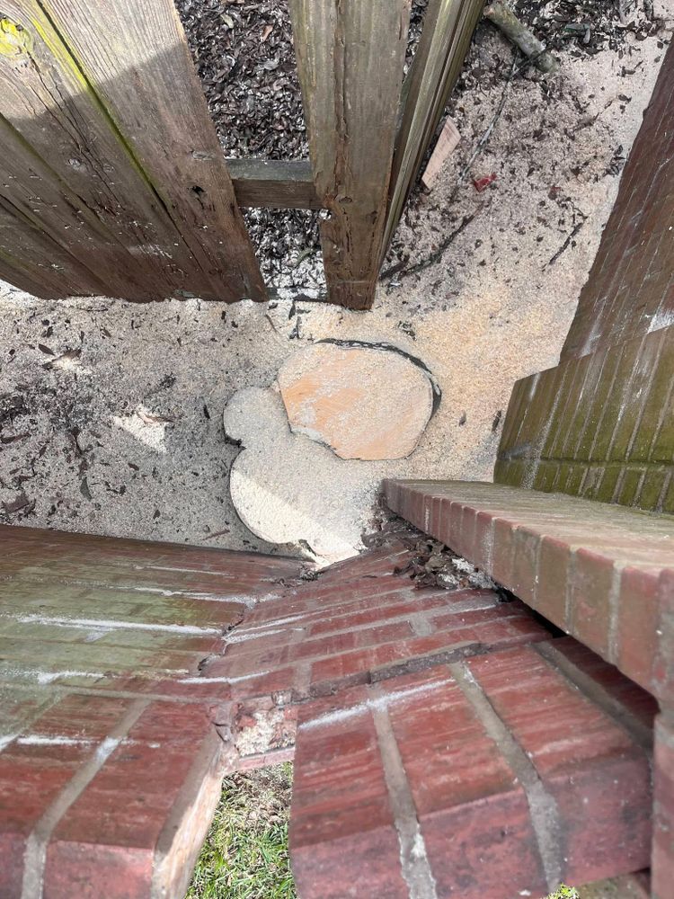 All Photos for Servin's Tree Care  in Houston, TX