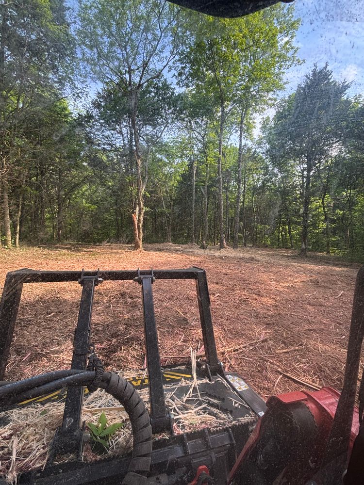 All Photos for Gregory Grass and Lawn in Lafayette, TN