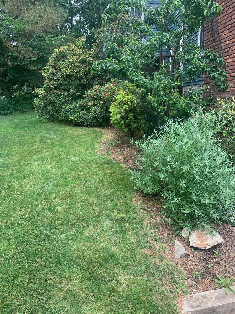 All Photos for Ace Landscaping in Trumbull, CT