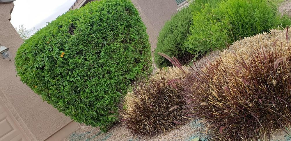 Landscaping for Sunrise Landscape in Maricopa, AZ