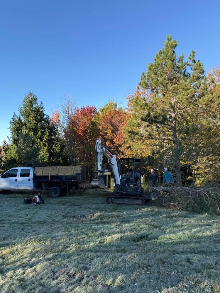 All Photos for Sterlings Tree Removal in Cobleskill, New York
