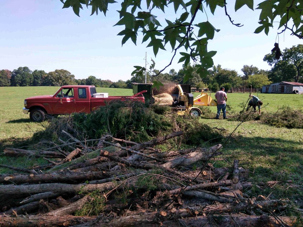 Our expert Tree Removal service ensures safe and efficient removal of unwanted or hazardous trees, enhancing your property's beauty and safety while minimizing disruption to your landscape. Contact us for a consultation. for Reymundo's Tree Service in Brownsboro, TX