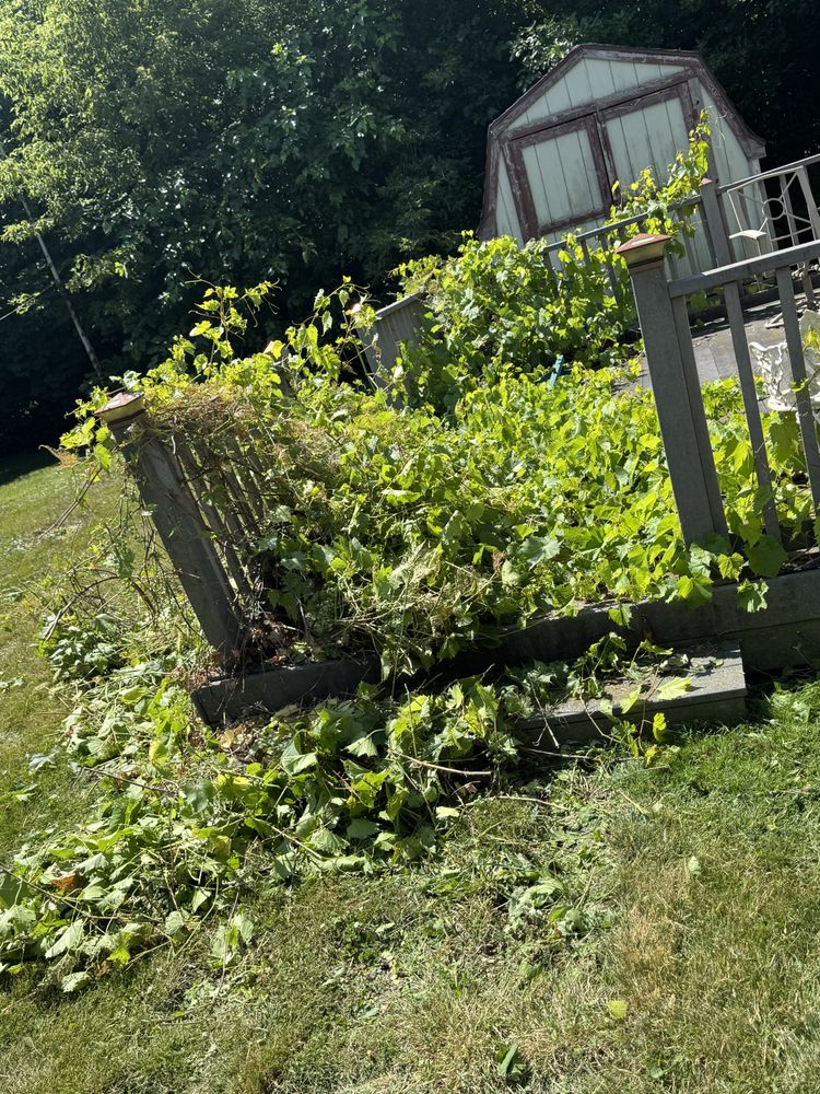 Landscaping Lawn Care for Daugherty's Tough Lawn Care in Essexville, MI