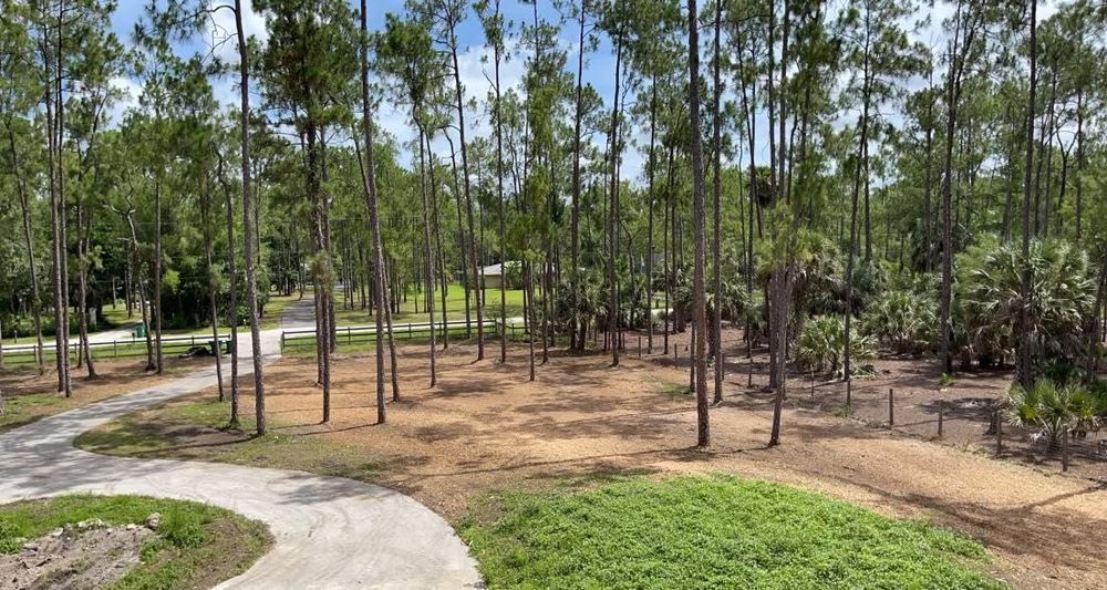 All Photos for McLeran in Naples, FL