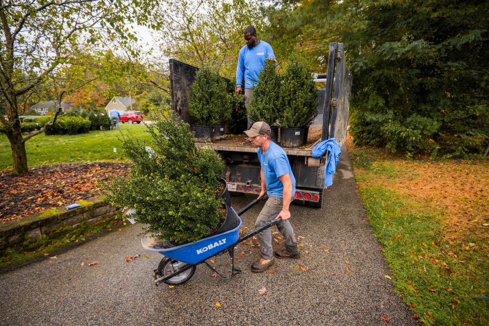 All Photos for Pungitore Landscapes, Irrigation & Fertilizer in Hingham, MA