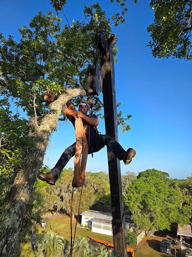 Tree Removal for Near Me Tree Service, Inc. in DeLand, FL