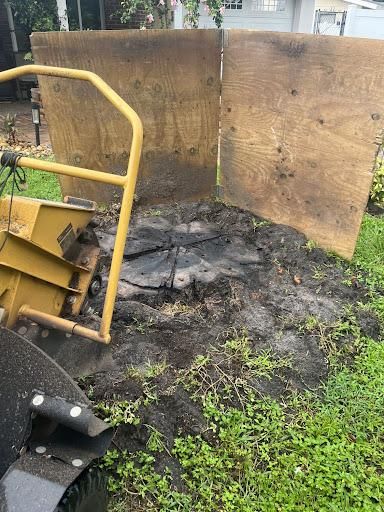 All Photos for KB’s Stump Removal in Seminole, FL
