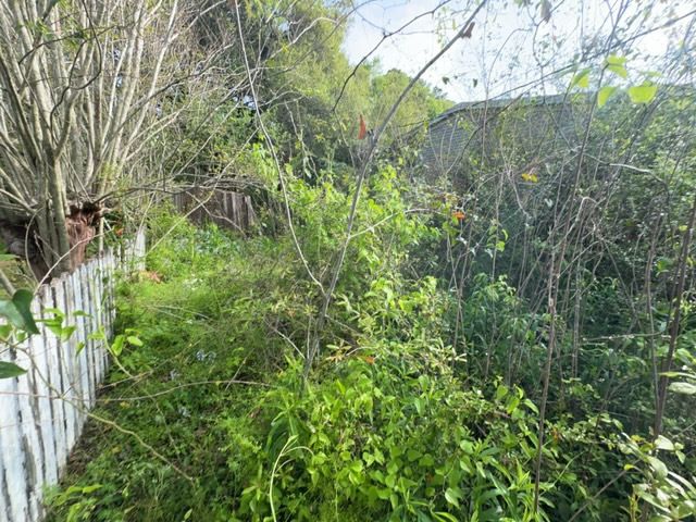 Tree Cleanup  for D&D Services of Pensacola in Pensacola, FL