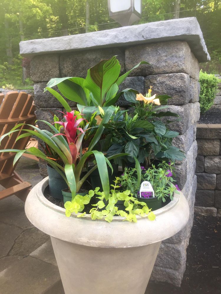 All Photos for  DeLorenzo Landscaping in Schenectady, NY