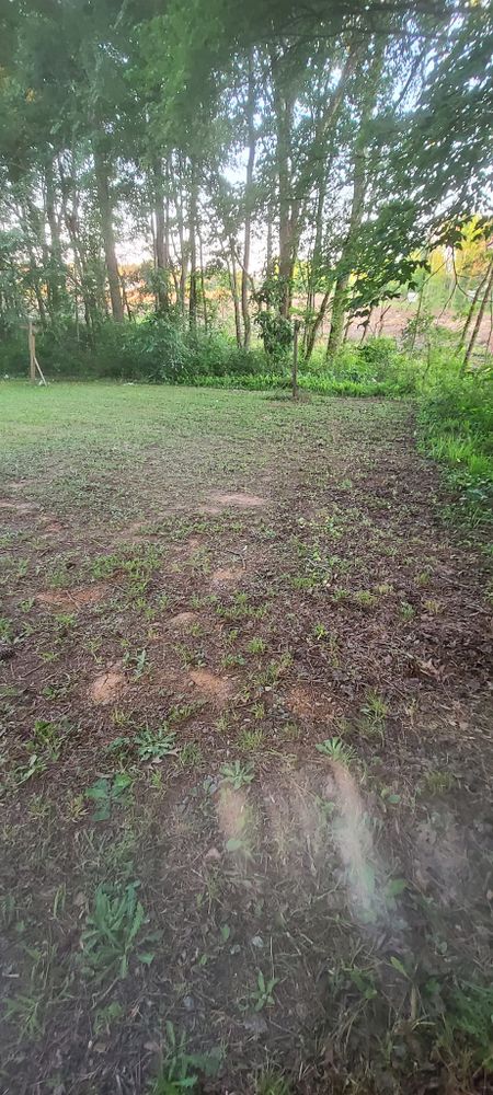 All Photos for Westscape Designs in Lake Gaston, NC