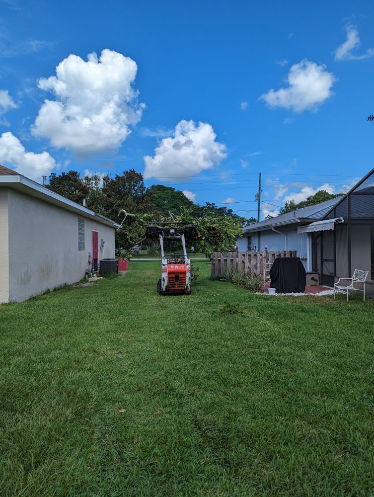 All Photos for Regal Tree Service and Stump Grinding in Wauchula, FL