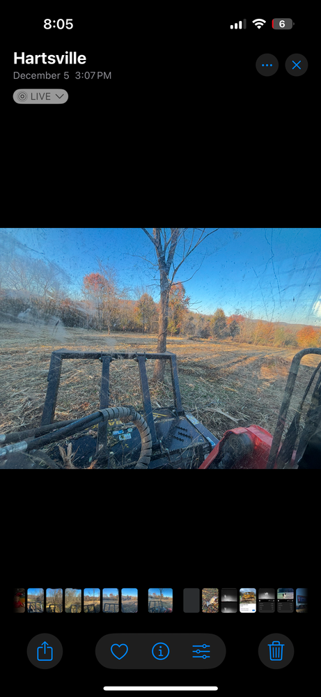 All Photos for Gregory Grass and Lawn in Lafayette, TN