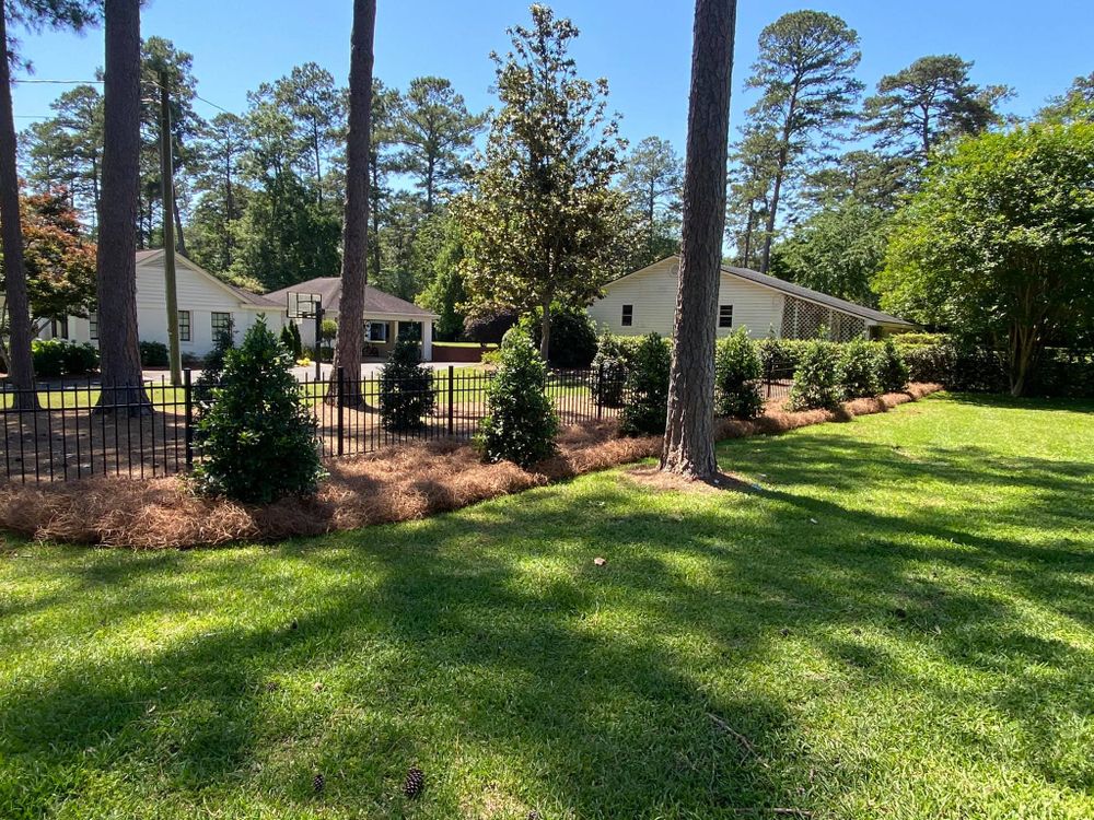 Enhance your garden's beauty and health with our expert Tree & Shrub Care service, providing professional pruning, disease prevention, and nourishment to ensure vibrant growth all year round. for Thomasville Lawn Care in Thomasville, GA