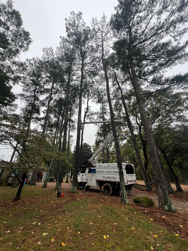 All Photos for Brooks Tree Service in Casar, NC