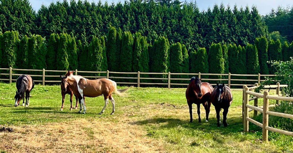 Modular Barn for Oats Equestrian Fencing LLC in Arlington, WA