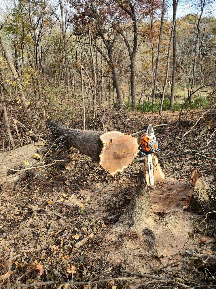 All Photos for Pure Iowa Logging in Cedar Rapids, Iowa